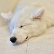 さとみ◇接客抜群の癒し系美女◇ 0️⃣2️⃣1️⃣6️⃣ 大悲報 H-ash（アッシュ）