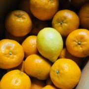 ヒメ日記 2024/12/24 13:25 投稿 しの ぷるるんマダム 難波店