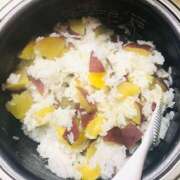 ヒメ日記 2024/12/26 06:37 投稿 しの ぷるるんマダム 難波店