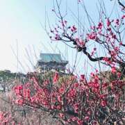 ヒメ日記 2025/02/21 13:53 投稿 しの ぷるるんマダム 難波店