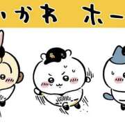 ヒメ日記 2025/03/16 09:53 投稿 しの ぷるるんマダム 難波店