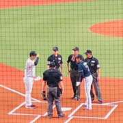 ヒメ日記 2025/03/22 22:27 投稿 しの ぷるるんマダム 難波店