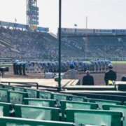 ヒメ日記 2025/03/26 08:31 投稿 しの ぷるるんマダム 難波店