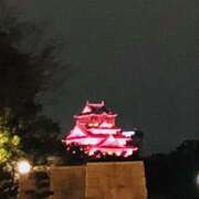 ヒメ日記 2025/03/27 21:17 投稿 しの ぷるるんマダム 難波店