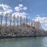 ヒメ日記 2025/04/04 23:53 投稿 しの ぷるるんマダム 難波店