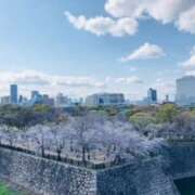 ヒメ日記 2025/04/05 12:55 投稿 しの ぷるるんマダム 難波店