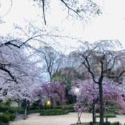 ヒメ日記 2025/04/05 23:38 投稿 しの ぷるるんマダム 難波店