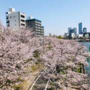 ヒメ日記 2025/04/08 06:57 投稿 しの ぷるるんマダム 難波店