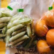 ヒメ日記 2025/04/09 13:17 投稿 しの ぷるるんマダム 難波店