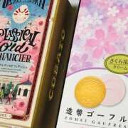 ヒメ日記 2025/04/11 15:49 投稿 しの ぷるるんマダム 難波店