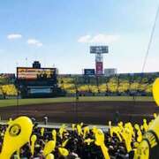 ヒメ日記 2025/04/13 14:26 投稿 しの ぷるるんマダム 難波店