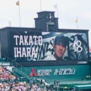 ヒメ日記 2025/04/20 22:54 投稿 しの ぷるるんマダム 難波店