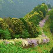 ヒメ日記 2025/04/26 06:38 投稿 しの ぷるるんマダム 難波店