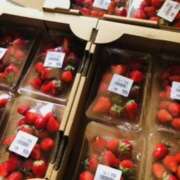 ヒメ日記 2025/05/20 14:48 投稿 しの ぷるるんマダム 難波店