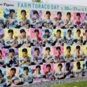 ヒメ日記 2025/05/31 00:18 投稿 しの ぷるるんマダム 難波店