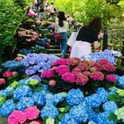 ヒメ日記 2025/06/09 12:30 投稿 しの ぷるるんマダム 難波店