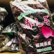 ヒメ日記 2025/06/22 18:52 投稿 しの ぷるるんマダム 難波店