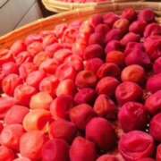 ヒメ日記 2025/07/28 12:44 投稿 しの ぷるるんマダム 難波店