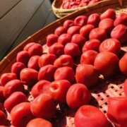 ヒメ日記 2025/07/30 14:56 投稿 しの ぷるるんマダム 難波店