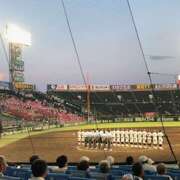 ヒメ日記 2025/08/06 10:54 投稿 しの ぷるるんマダム 難波店