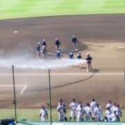 ヒメ日記 2025/08/16 11:06 投稿 しの ぷるるんマダム 難波店