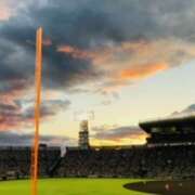 ヒメ日記 2025/09/05 19:36 投稿 しの ぷるるんマダム 難波店