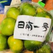 ヒメ日記 2025/09/13 07:03 投稿 しの ぷるるんマダム 難波店