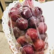 ヒメ日記 2025/09/25 13:33 投稿 しの ぷるるんマダム 難波店