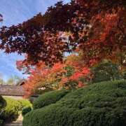 ヒメ日記 2025/10/01 05:23 投稿 しの ぷるるんマダム 難波店