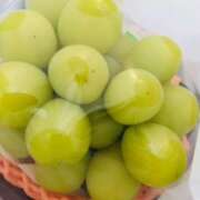 ヒメ日記 2025/10/11 21:39 投稿 しの ぷるるんマダム 難波店