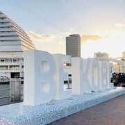 ヒメ日記 2025/11/12 06:51 投稿 しの ぷるるんマダム 難波店