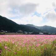 ヒメ日記 2025/11/15 07:26 投稿 しの ぷるるんマダム 難波店