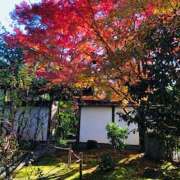 ヒメ日記 2025/11/21 05:46 投稿 しの ぷるるんマダム 難波店