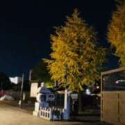 ヒメ日記 2025/11/23 00:04 投稿 しの ぷるるんマダム 難波店