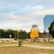 ヒメ日記 2025/12/05 17:57 投稿 しの ぷるるんマダム 難波店