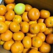 ヒメ日記 2025/12/10 11:33 投稿 しの ぷるるんマダム 難波店