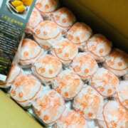 ヒメ日記 2025/12/19 14:23 投稿 しの ぷるるんマダム 難波店