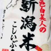 ヒメ日記 2025/12/22 13:37 投稿 しの ぷるるんマダム 難波店