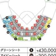 ヒメ日記 2025/12/28 21:44 投稿 しの ぷるるんマダム 難波店
