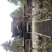 ヒメ日記 2026/01/01 13:38 投稿 しの ぷるるんマダム 難波店