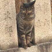 ヒメ日記 2026/01/19 14:48 投稿 しの ぷるるんマダム 難波店