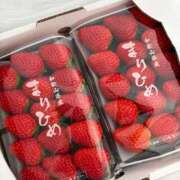 ヒメ日記 2026/02/01 11:58 投稿 しの ぷるるんマダム 難波店