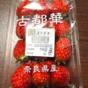 ヒメ日記 2026/02/02 05:15 投稿 しの ぷるるんマダム 難波店