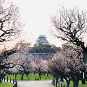 ヒメ日記 2026/02/04 13:26 投稿 しの ぷるるんマダム 難波店