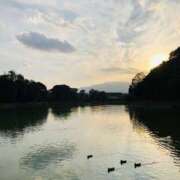 ヒメ日記 2026/02/08 08:22 投稿 しの ぷるるんマダム 難波店