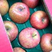 ヒメ日記 2026/02/27 05:21 投稿 しの ぷるるんマダム 難波店