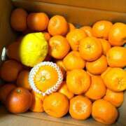 ヒメ日記 2026/03/02 14:19 投稿 しの ぷるるんマダム 難波店