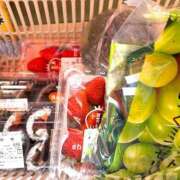 ヒメ日記 2026/03/28 13:54 投稿 しの ぷるるんマダム 難波店