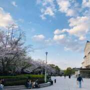 ヒメ日記 2026/04/04 16:04 投稿 しの ぷるるんマダム 難波店