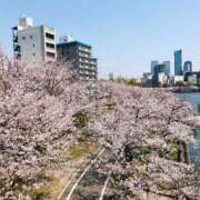ヒメ日記 2026/04/06 05:33 投稿 しの ぷるるんマダム 難波店